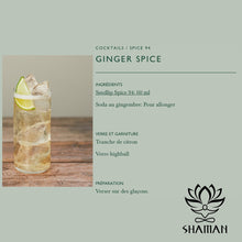 Charger l'image dans la galerie, Seedlip Spice 94