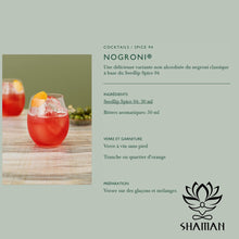 Charger l'image dans la galerie, Seedlip Spice 94