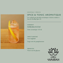 Charger l'image dans la galerie, Seedlip Spice 94