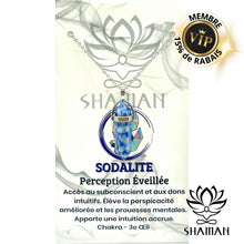 Charger l'image dans la galerie, Solalite Double Pointe Sur Chaine Pendentifs Shaman