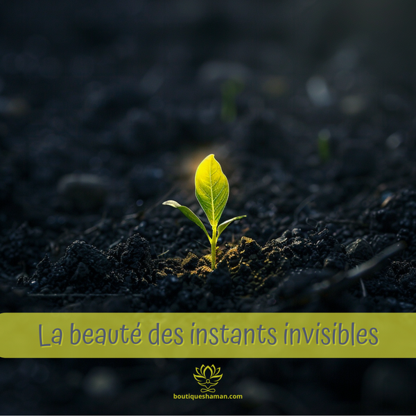 La beauté des instants invisibles