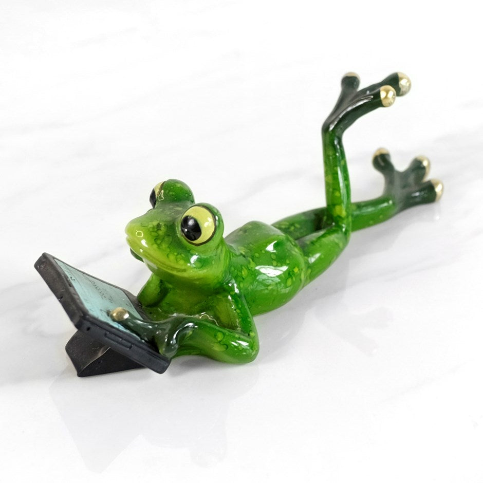 GRENOUILLE OBSERVANT iPad