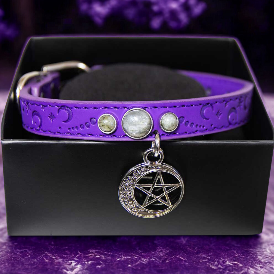 COLLIER CHAT/CHIEN CUIR VEG LUNE & PENTACLE-PETIT 9.5″L(CR)