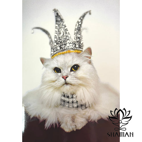 Carte Princess Kitten Anglais De Souhaits