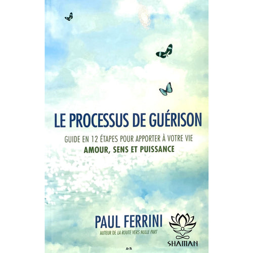 Le Processus De Guérison Livre