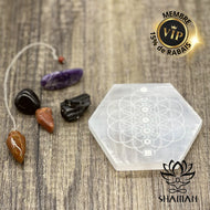 Plaque En Sélénite Hexagonale Avec Chakras Sur Fleur De Vie Pierres Et Cristaux