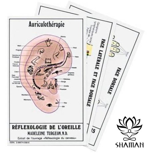 Pochette De Réflexologie Livre