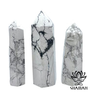 Pointe Dhowlite Blanche Pointe
