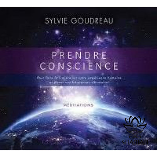 Prendre Conscience Pour Faire La Lumière Sur Votre Expérience Humaine Et Élever Vos Fréquences
