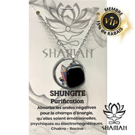 Shungite Forme Variée Sur Chaine Pendentifs Shaman